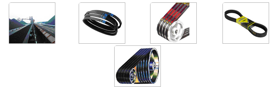 Conveyor Belt & Transmission belt